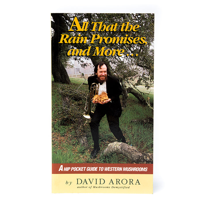 Front cover of All That the Rain Promises and More