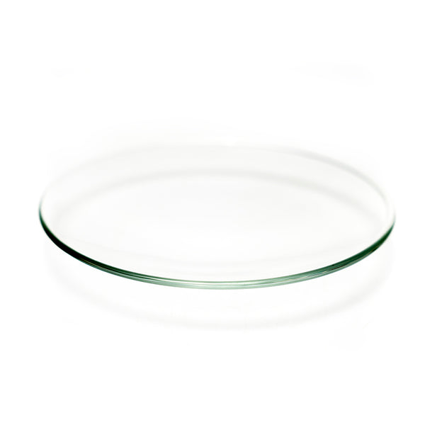Verre De Montre Ovale 19.5 X 14.5 Mm - Catégorie 3-C, Base Plate - Neuf Sans étiquette
